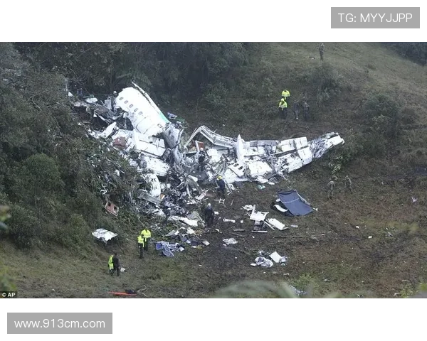 足球明星因坠机事故不幸去世引发全球哀悼与关注